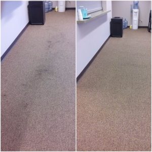 Professional carpet cleaning joplin mo